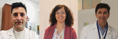 GrupoInvestigacionweb